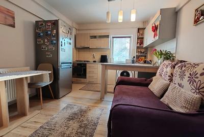 Apartament 2 camere Eremia Grigorescu, etaj 1, renovat, centrala, mobilat - 2