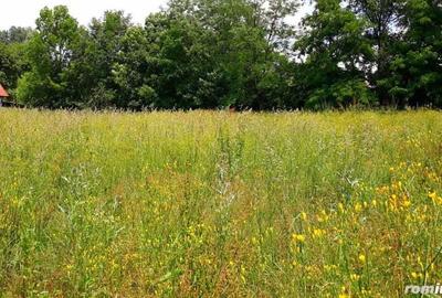 Casa Slanic Prahova pensiune,hotel 24 camere - 6