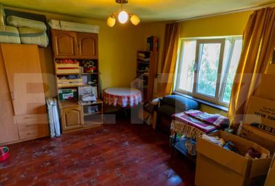 Casă cu 3 camere cu Teren 4000 Mp în Rovina (Brănișca) - 11