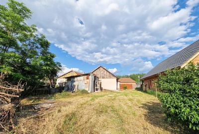 Casă cu 3 camere cu Teren 1940 Mp în Biharia - 7