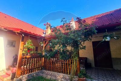 Casa de vanzare 170 mp, teren 1800 mp, Medias, cartier Vitrometan - 8