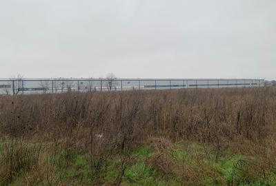 Teren Construcții intravilan de 30000 mp, în Ștefăneștii de Jos - 8