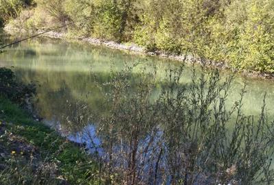 Teren de 7178 mp, în Frătăuții Vechi - 4