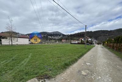 Teren deosebit in apropiere de lac com.Alexandru cel Bun - - 2