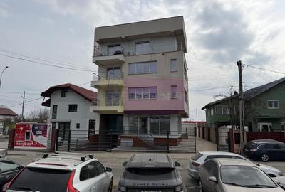 Proprietate specială, de 800 mp, în Theodor Pallady - 44
