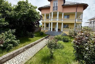 Casă cu 4 camere în Ostroveni - 8
