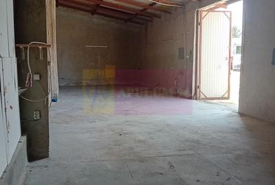 Spațiu industrial, de 90 mp, în Viilor - 3