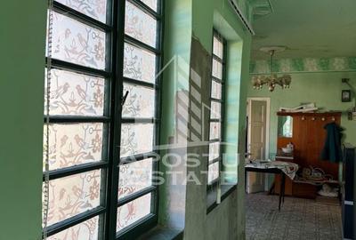 Casă cu 4 camere cu Teren 1522 Mp în Traian Vuia - 4