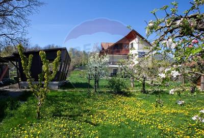 Casă cu 3 camere cu Teren 1251 Mp în Săucești - 18