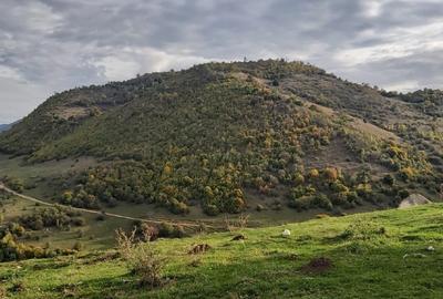 Teren extravilan de 10000 mp, în Valea Mare-Pravăț - 1