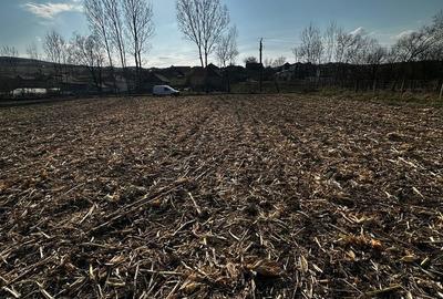 Teren de 9000 mp, în Baciu - 14