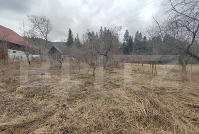 Casă cu 4 camere cu Teren 2500 Mp în Putna - 16