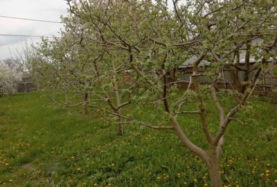 Casă cu 2 camere în Miron Costin - 2