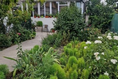 Casa cu suflet in centrul Medgidiei- gradina superba - 36