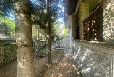 De vanzare casa cu teren intravilan Ro?ia Noua, comuna Petri?, jud. Arad - 10