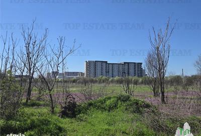 Spațiu comercial, în Păcii - 7