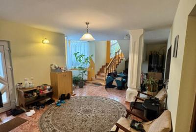 CASA DE VIS SAU AFACERE DE SUCCES BAIA SPRIE - 25