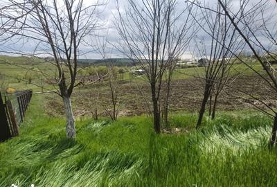 Teren de 3150 mp, în Răchiți - 2