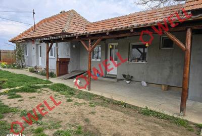 Casă cu Teren 1493 Mp în Ozun - 7