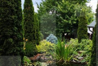 Casă cu 5 camere cu Teren 1200 Mp în Gruia - 6