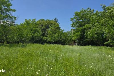 Spațiu comercial, în Bărzila - 7