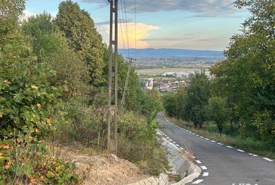 Teren de 1076 mp, în Tăuții-Măgherăuș - 5
