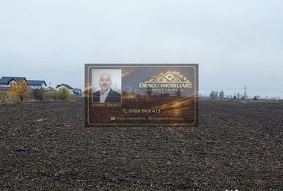 Teren de 27223 mp, în Est - 4