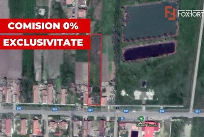 Teren Construcții intravilan de 2978 mp, în Sânmihaiu German - 5