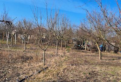 Casă cu 1 camere în Niuved - 5