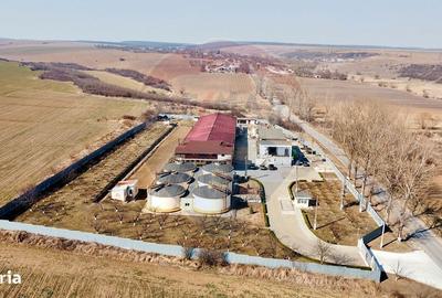 Spațiu comercial, de 2,800 mp, în Tecucelu Sec - 5