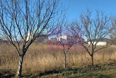 Teren Construcții intravilan de 2040 mp, în Săbăreni - 6