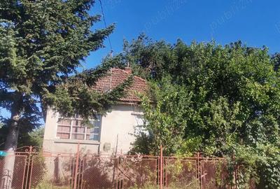 Casa de vanzare Viile Satu Mare - 1