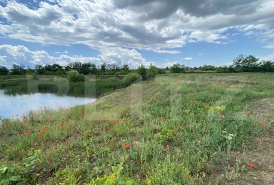 Teren extravilan 10000 mp, cu balta de peste, Salaj, Sarmasa - 3
