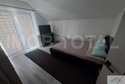 Vila Albota, mobilata si utilata - 8