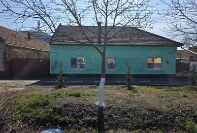 Casă cu 4 camere cu Teren 2158 Mp în Săcălaz - 2