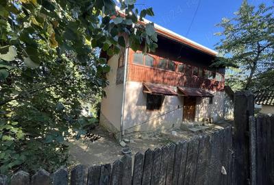 Vand sau schimb casa zona munte - 4