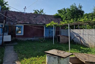 Casă cu 2 camere în Cozia - 7