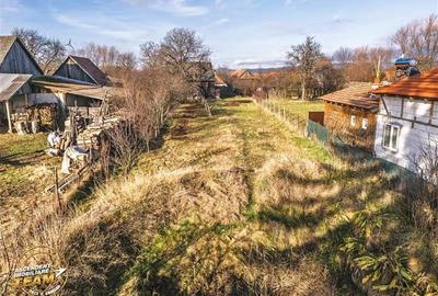 FILM! Casa cu sura, pivnita, balta cu pesti, 2.280 mp teren roditor, Lemnia, Cov - 14