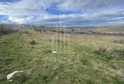 Teren de 1800 mp, în Roșia - 7