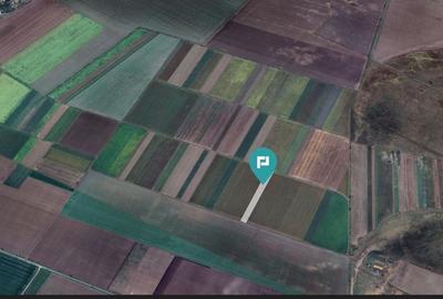 Teren extravilan de 14.500 mp în Caporal Alexa - 3