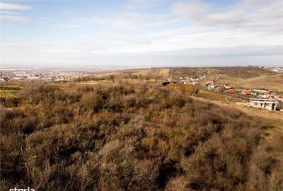 Spațiu comercial, în Podgoria - 2