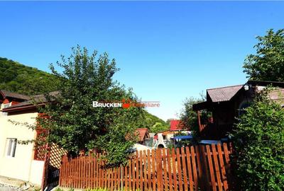 LOCUINTA TA DE VIS IN PADUREA NEAGRA - 17