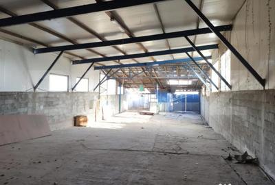 Casă cu 3 camere cu Teren 1681 Mp în Central - 5