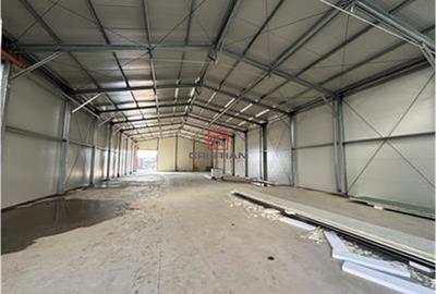 Spațiu comercial, de 6,000 mp, în Jilava - 9