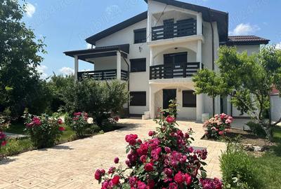 Vanzare Vila tip conac in Domnesti - 4