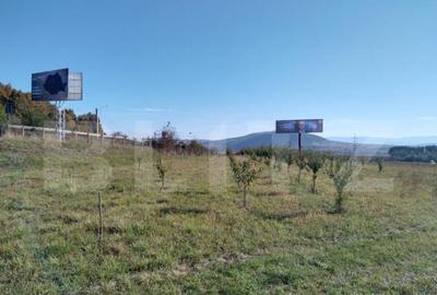 Teren de 15000 mp, în Viișoara - 2