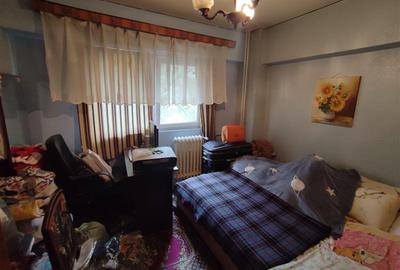 Apartament cu 4 camere decomandat în Parcul Circului - 12