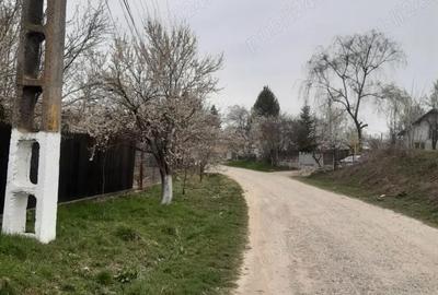 Teren în Dărmănești - 5
