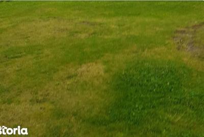 Teren de 1250 mp, în Ceuaș - 1