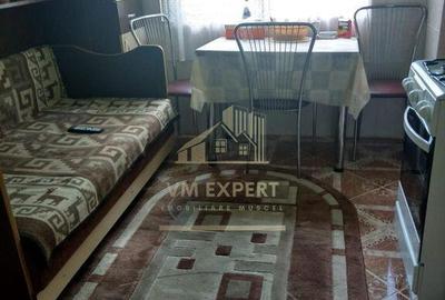 CASA 5 CAMERE, TEREN 600 MP, CAMPULUNG - 6